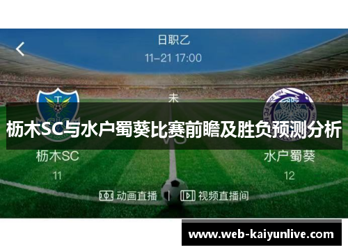 枥木SC与水户蜀葵比赛前瞻及胜负预测分析
